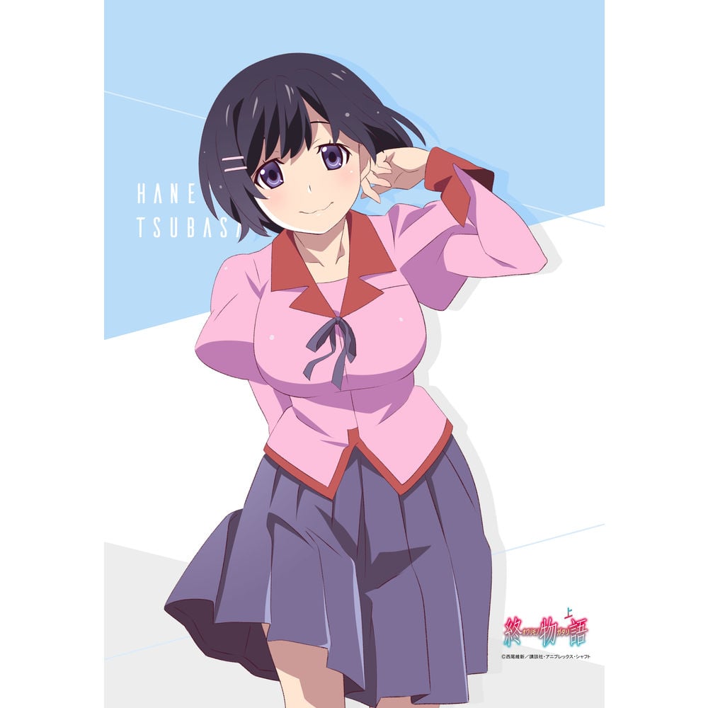 化物語　羽川 翼　タペストリー　壁掛 カード　掛け軸 ポスター Amazon.co.jp: 化物語 タペストリー 壁畫 化物語 グッズ 周辺 阿