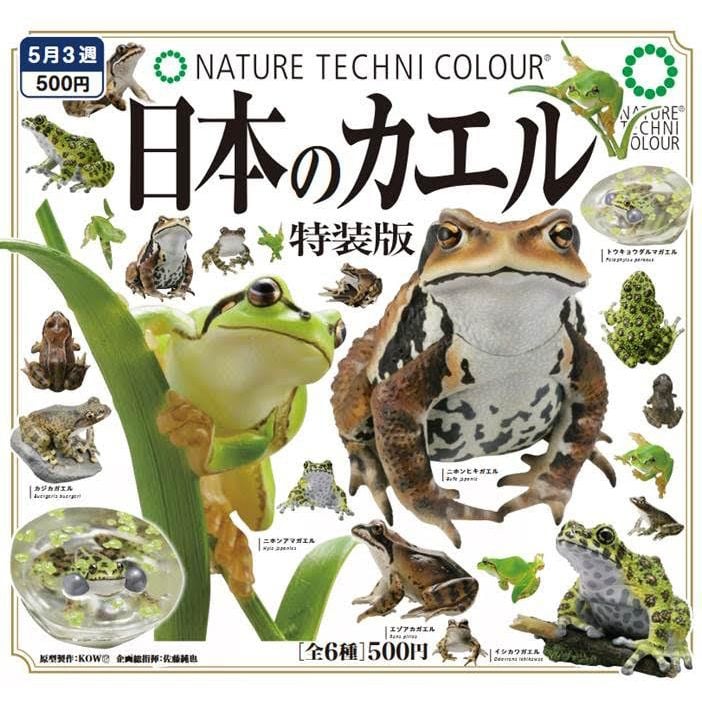 Nature Techni Colour 日本的青蛙特裝版(1盒6件) | ネイチャー