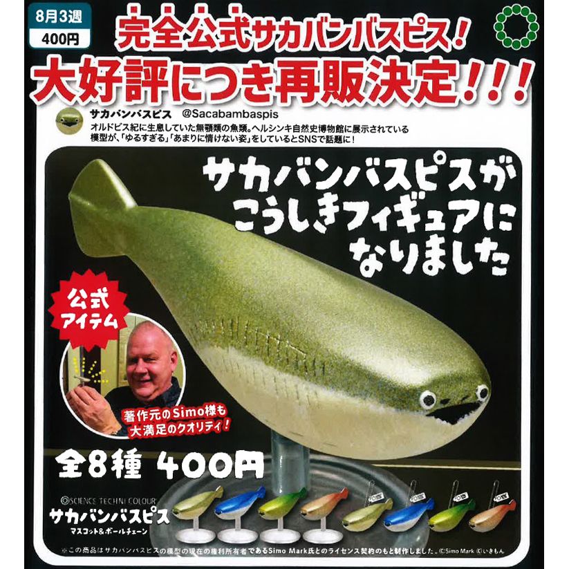 sui様専用mojoホールド captaincrux セット マーナxJAL
