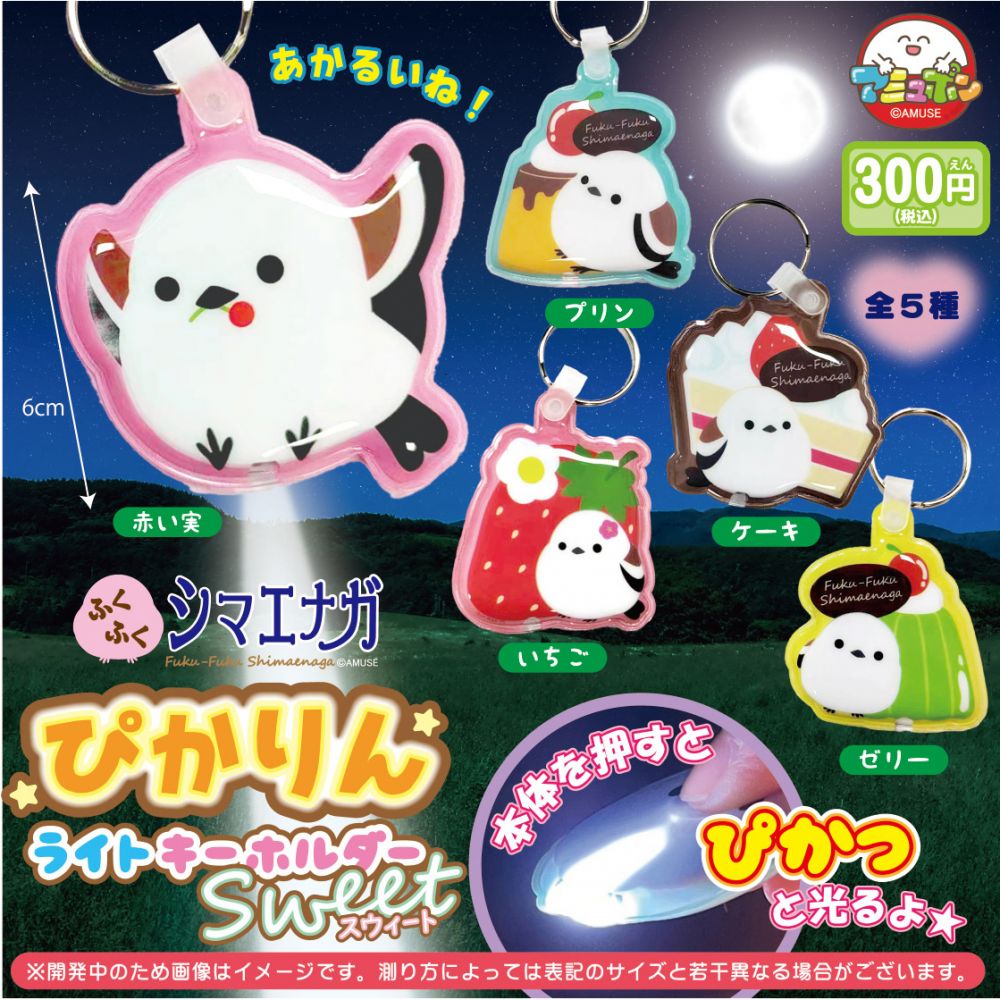 ゆっこ様 ゆっこ様】Every Day With Zippy DWE Everyday ゆっこ様