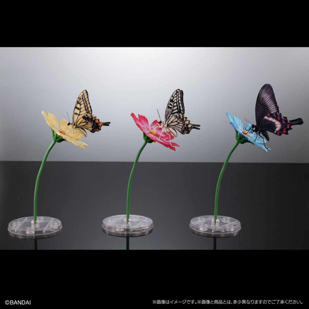 オンライン版 全3種 アゲハチョウ ディスプレイスタンドセット 生物大圖鑑 Advance 鳳蝶科 展示台座 Set (1盒3件) | いきもの大