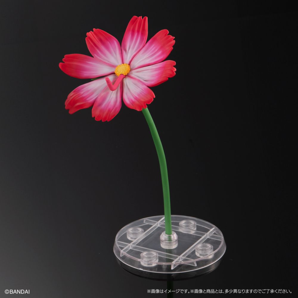 オンライン版 全3種 アゲハチョウ ディスプレイスタンドセット 生物大圖鑑 Advance 鳳蝶科 展示台座 Set (1盒3件) | いきもの大