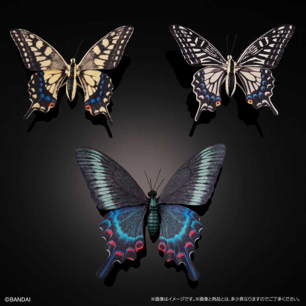 オンライン版 全3種 アゲハチョウ ディスプレイスタンドセット いきもの大図鑑アドバンス アゲハチョウ ディスプレイスタンド