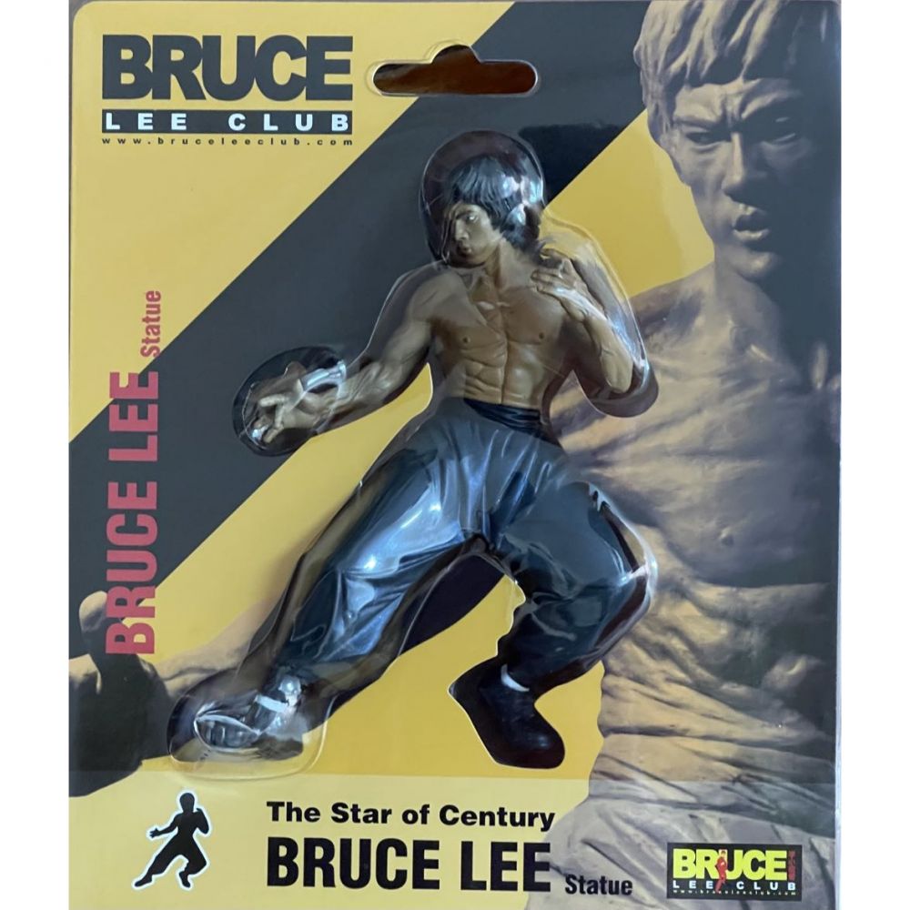Bruce Lee Library (8 book series) Kindle Edition