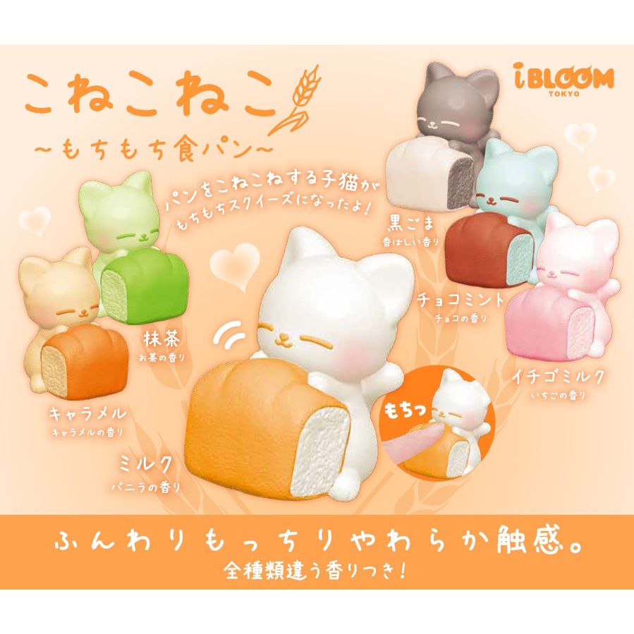 小貓咪軟軟(1盒5件) | こねこねこスクイーズ| 動漫產品| 扭蛋